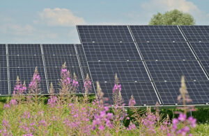 Photovoltaik wird immer mehr genutzt